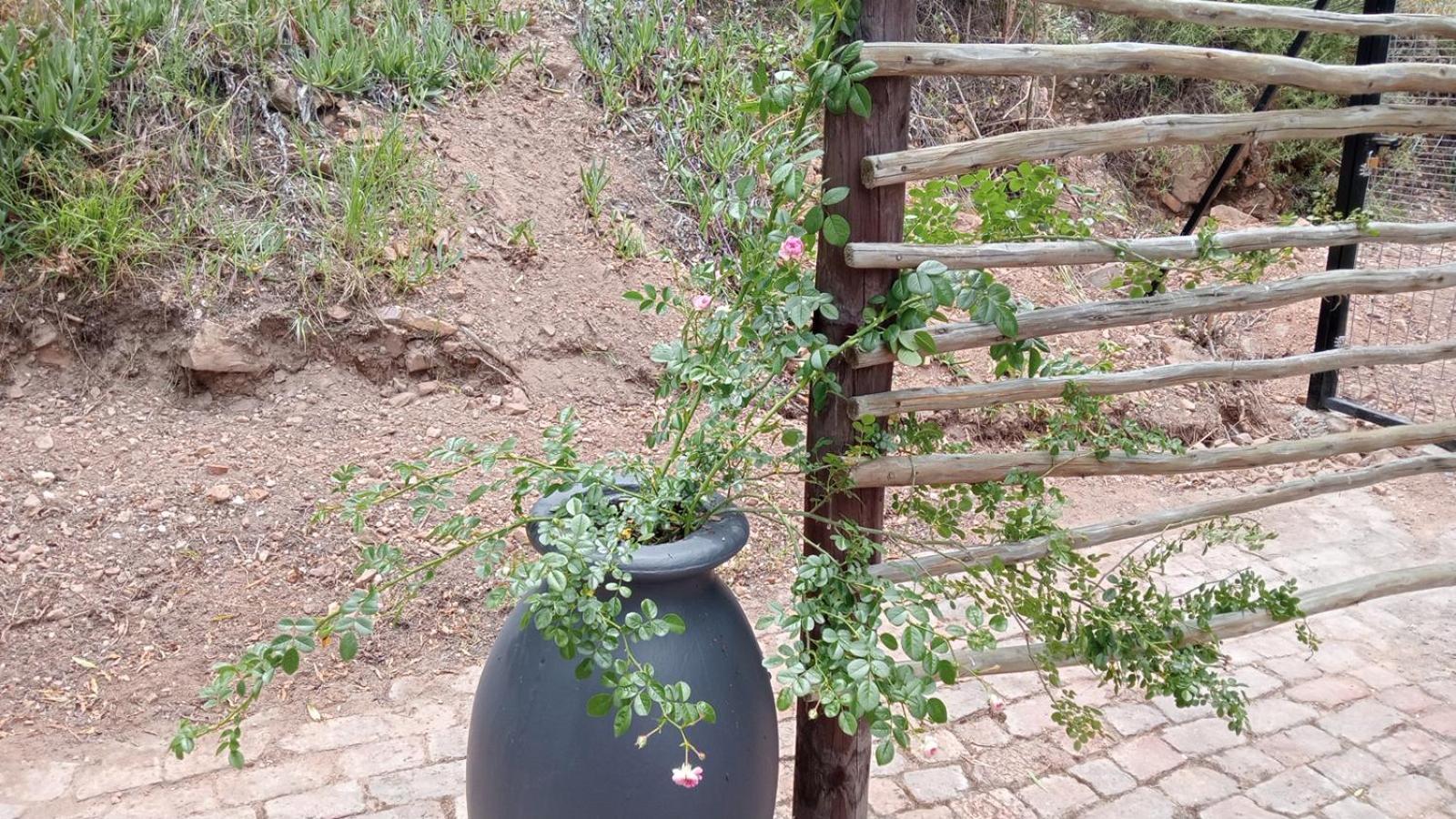 Kranskloof Country Lodge أوتشورن المظهر الخارجي الصورة