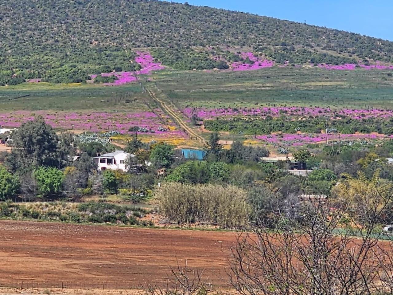 Kranskloof Country Lodge أوتشورن المظهر الخارجي الصورة